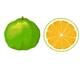 Ugli fruit on a white background. Cartoon design.