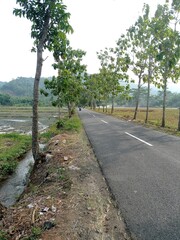 a photo of a street scene in a village in Indonesia