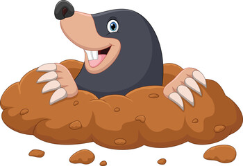 Cartoon mole come out of the hole