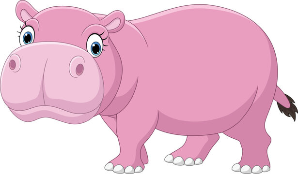 Cartoon funny hippo on white background