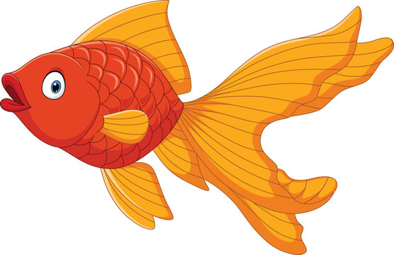 Cartoon cute goldfish on a white background
