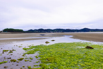 引潮の砂浜