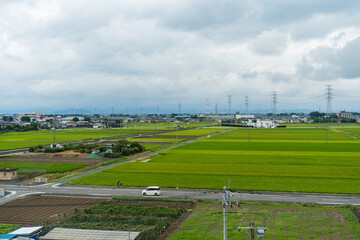 日本の田舎の田園風景