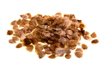 Tomato seeds on White background