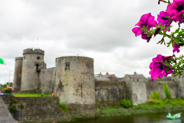 Purple colors in focus. King John castle out of focus. Limerick city, Ireland. Famous landmark and...