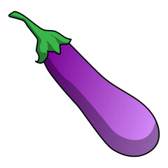 eggplant vector illustration