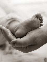baby feet in a hand