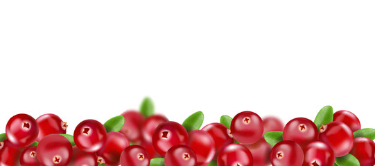 Cranberry with leaves on transparent horizontal background . realistic vector, 3d illustration