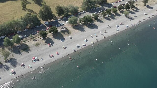 Aerial shot in the Ranco lake in Chile of people bathing and having fun in the lake with cars parked near a grassfield with trees.