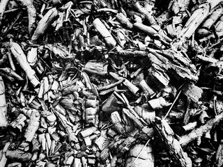 black and white background