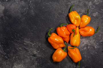 Orange Habanero peppers atop dark concrete backdrop, top view, copy space. Capsicum chinense fruits