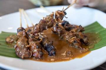 Popular Indonesian Chicken Barbeque - Sate Ayam