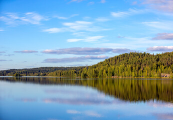Calm evening at the lake shore in Finland. Beautiful scenery with green leaves in the forest.