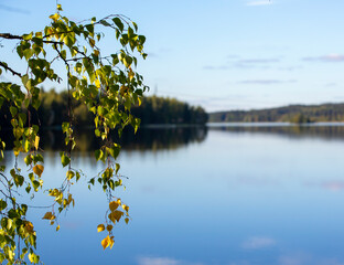 Calm evening at the lake shore in Finland. Beautiful scenery with green leaves in the forest.