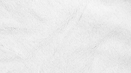 White clean wool texture background. light natural sheep wool. white seamless cotton. texture of fluffy fur for designers. white wool carpet, weaving industry, fabric shop, quality of winter fabrics.