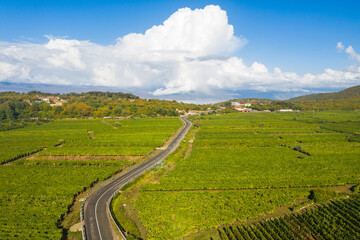 Vrbnik vineyards, aerial view, Island of Krk, Croatia