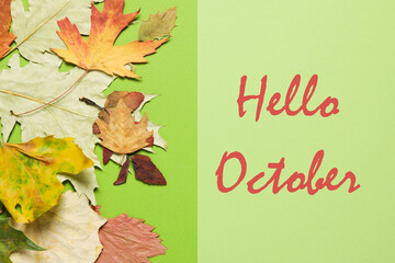 Concept of Hello Autumn, composition with text Hello October