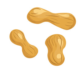 Peanut seed, pea snack for good nutrition, vector