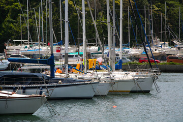 Scenery of a tranquil yacht harbor.