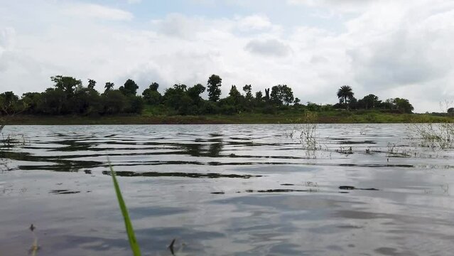 Godavari River At Daytime In Ramkund, Nashik, Maharashtra, India. - close up
