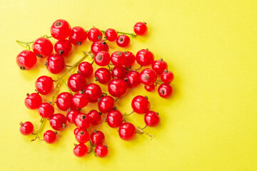 Sprigs of red currant on yellow background. Fresh bright currant. Sweet juicy currant, organic berries harvest - healthy eating and food concept.