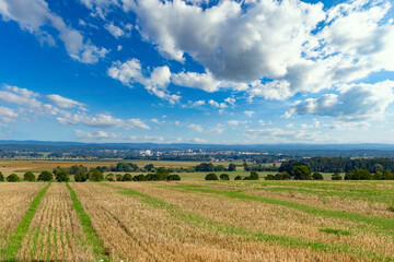 Fototapeta na wymiar Fields and blue sky with clouds. Summer landscape.