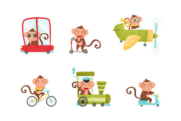 Funny Monkey with Protruding Ears Driving and Riding Different Transport Vector Set