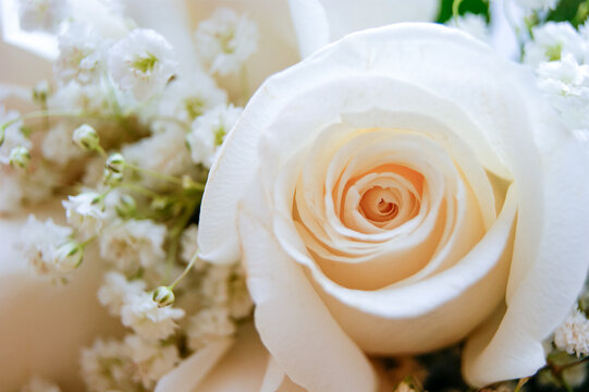 Wedding photo, wedding bouquet beige roses green leaves