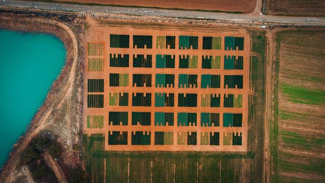 Pattern on seed testing field by turquoise lake