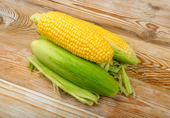 Sweet Corn Ears on Wooden Desk