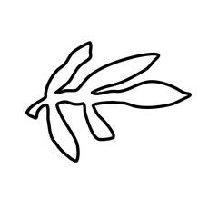 Obraz premium Abstract organic shape hand drawn background