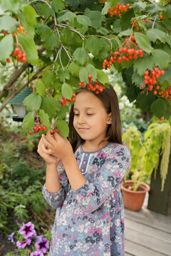 Girl standing under Viburnum tree in garden