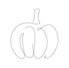 Line art Pumpkin. Autumn vegetable one line. Vector illustration.