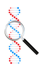 DNA strand symbol. DNA genetics. Vector stock illustration.