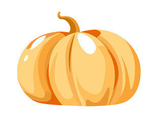 Pumpkin vegetable, harvesting and agriculture