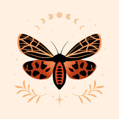 Vector illustration with hand drawn butterfly and moon phases. Boho celestial composition. Mystical moth.