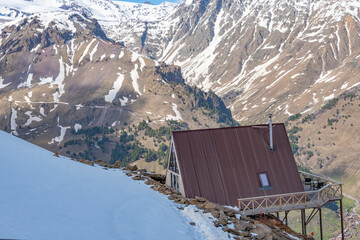 Husky dog sits on a terrace in the mountains