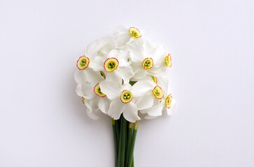 Daffodils on a light background