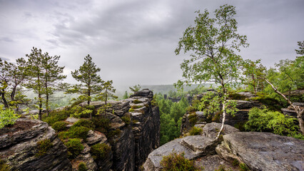 Rainy Morning - Regnerischer Morgen