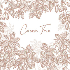 01_Cocoa_Tree