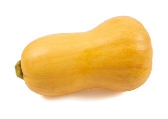 Fresh butternut squash isolated on a white background, Butternut Pumpkin isolated on white background. Healthy food concept.