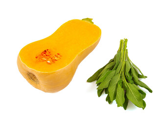 Fresh butternut squash with fresh sage leaves isolated on a white background, Butternut Pumpkin isolated on white background. Healthy food concept.