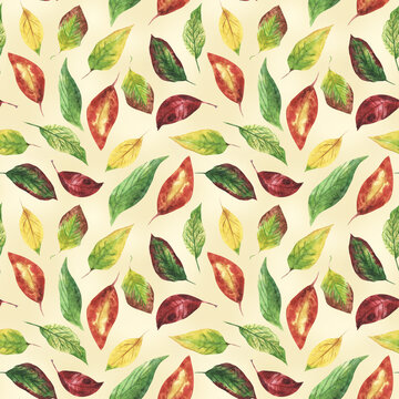 Watercolor pattern of autumn plants. Autumn leaves, leaf fall. Modern bright style. You can use a bright print for your design.