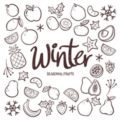 Seasonal fruits background. Hand-drawn winter fruit composition made of doodle vector icons, isolated on white background.
