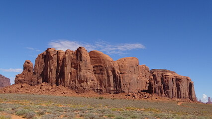 Fototapeta premium natura ed arte