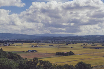 北海道の田園風景（新十津川）