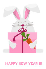 Happy New Year 2023, Cartoon Rabbit Zodiac. Greeting card template, Bunny with gift box and carrot