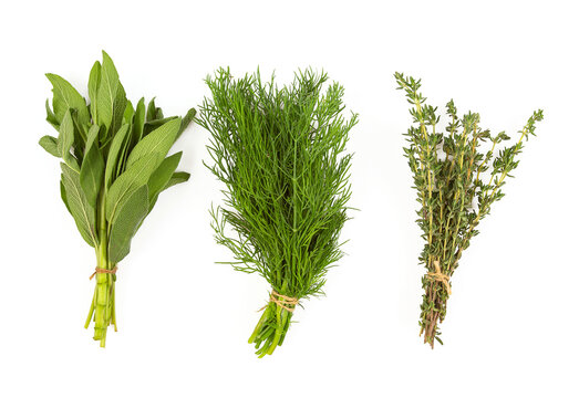 Sage, thyme and dill isolated on white background. Fresh herbs.