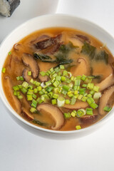 chicken noodle soup