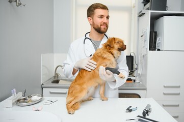 Happy veterinarians examining dog in clinic